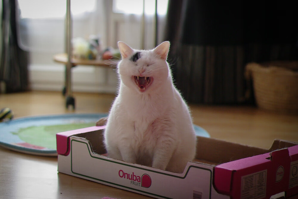 赞助商深度解析：金牌合作背后隐含的利益，赞助商和合作商的区别