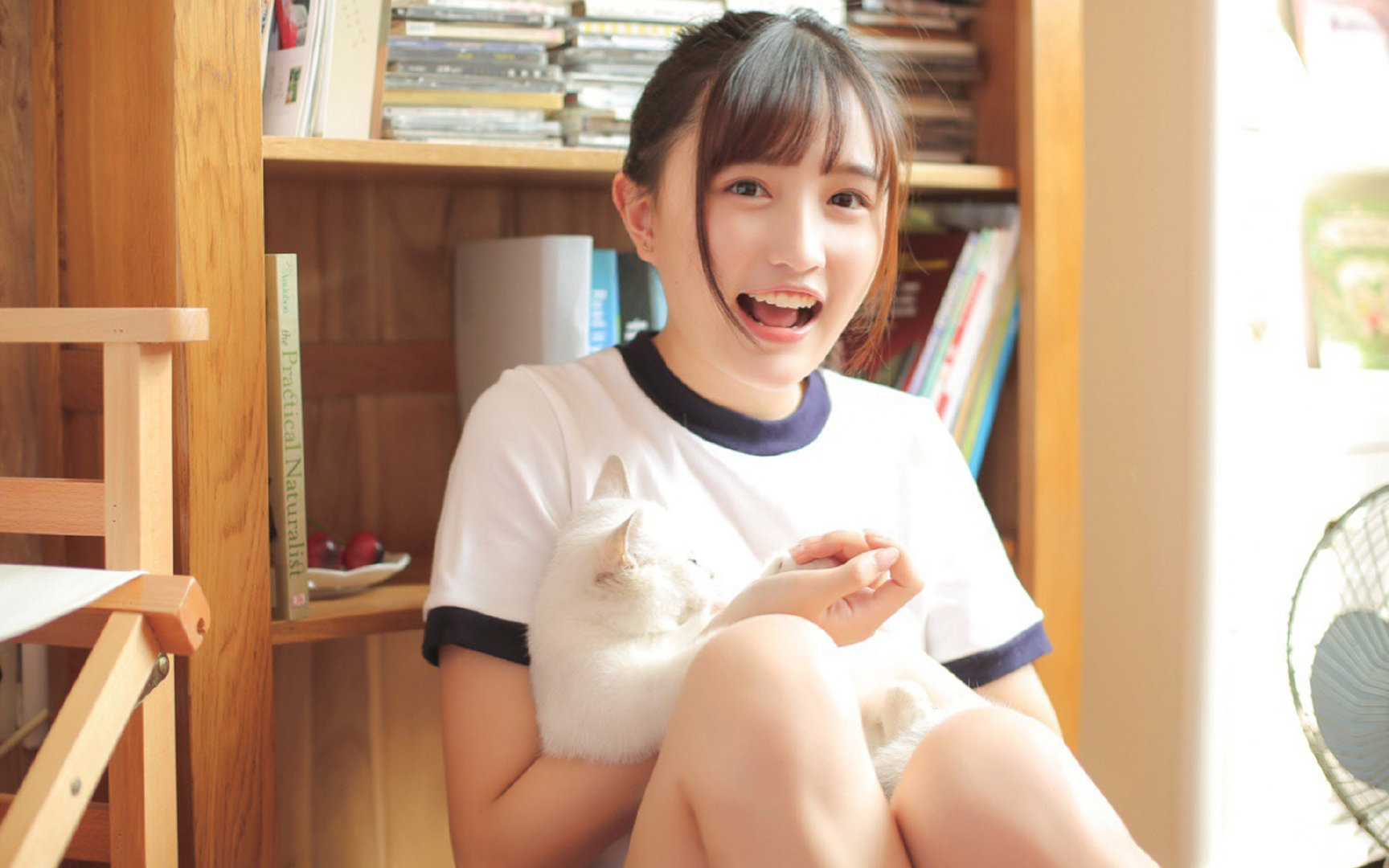 足球大数据分析助力球队战术优化，足球大数据分析软件哪个好用