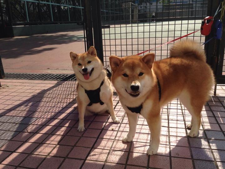 EDG与其他战队激烈对抗，edg对手