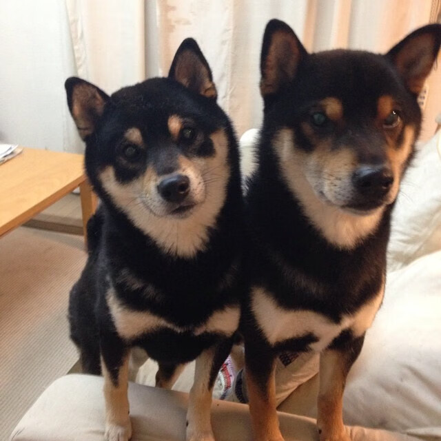 九游官网APP-T1选手体能训练成果显著，t1t2训练赛有啥区别