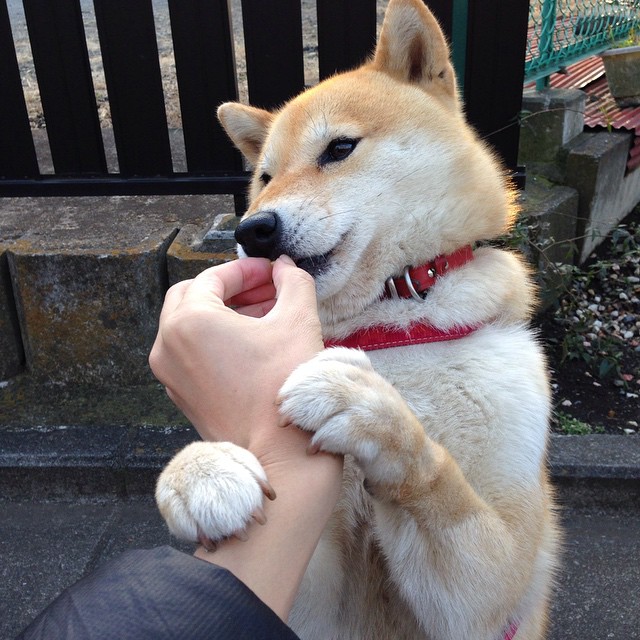 九游娱乐APP-国足高强度对抗下传球精准度评估，足球下底传中