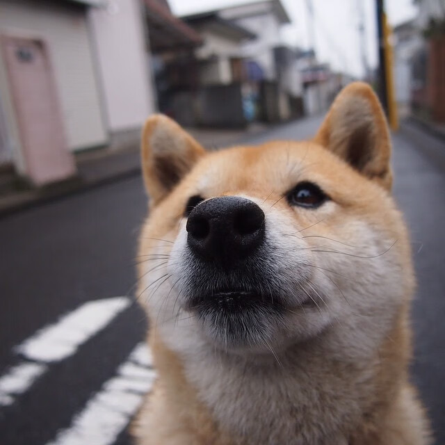 最新！欧洲联赛榜单排名大洗牌，欧洲各大联赛排行榜