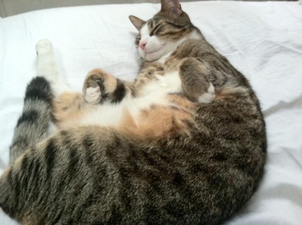 高校体育运动损伤预防教育体系研究，高中体育运动损伤及预防ppt